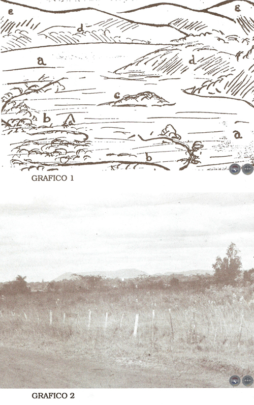 EL VALLE Y LA LOMA & CULTURAS DE LA SELVA, 1995 - POR RAMIRO DOMÍNGUEZ